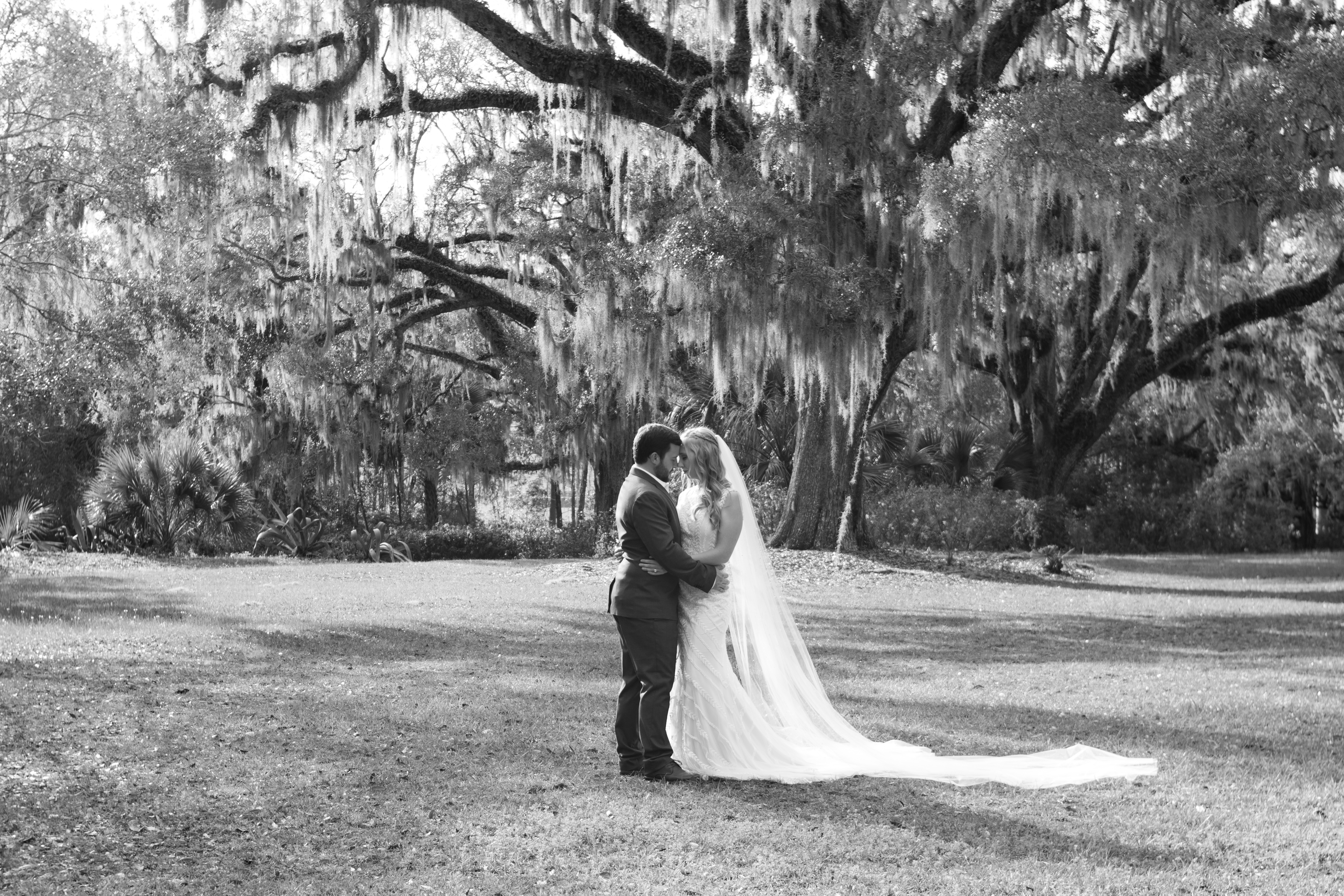 Goodwood Plantation Wedding | Tallahassee, FL